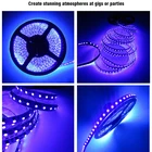 Superbes ambiances lors des fêtes A MENÉ LA Lumière De Bande de couleur UV pour noël