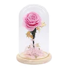 Rose Rose In Glass Chinese Factory Preserved Rose In Glass Dome Flowers