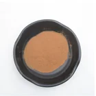 100% Natural Ginkgo Biloba Leaf Extract Powder /Flavones 24% Terpene