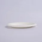 Disposable Plate Disposable Plates New Design Disposable Unbleached Bagasse Plate