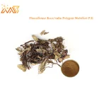 Chinese Dodder Seed Extract Powder / Sex Medicine / Herbal Sex Power Product