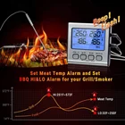 Amazon Top Seller wireless digital thermometer bbq Meat Thermometer With 2 Stainless Steel Probes