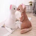 Cat Realistic Costumes Koala Bear Animal Plush Toys