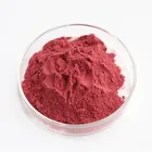 Vacuum Packed Natural Juice Powder Powder Natural Blackcurrant Juice Fruit Powder