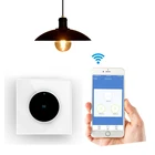 Alexa Google Assistanct Voice Control WiFi Controlled Light Switch Touch Wall Light Switch 1 Gang