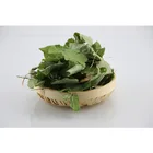 Herb Herb Cure Epimedium Sagittatum Semi Horny Goat Weed 20% 40% Icariin
