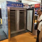 Auto defrost commercial kitchens industrial blast chiller flash freezer for sale
