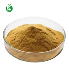 100% Natural Ganoderma Lucidum Extract Bulk Powder