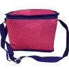 Customer echo foldable insulated picnic wholesales lunch cooler bag for frozen food