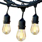 48ft Outdoor Decoration LED string Light with 20 Socket