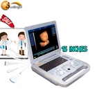Sheep Cow dog ultrasound machine veterinary use for large animals