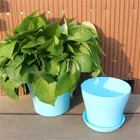 Plants Pots Wholesale Garden Plastic Decoration White Flower Plants Pots From China