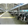 /product-detail/cow-feeder-head-panel-60019132989.html