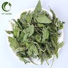 Free sample Dried Spices Herbs Mint Leaf Peppermint Tea