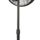 Fan Fan Fan Top Quality Color Customized Promotional Retro New Design Stand Fan