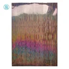 PET Material And Plastic Application Laser Metallic Hot Stamping Foil