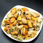Mussel Meat Supplier Supply Frozen Cooked Mussel Meat Without Shell Frozen Mussel