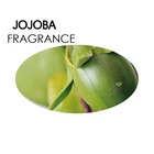 Daily Flavor Natural Fragrance Oil 100% Natural Pure Jojoba Fragrance Oil