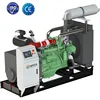 /product-detail/cop-15-3770kwe-60hz-biogas-generator-biogas-chp-cogen-bhkw-60808806016.html