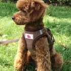 Wholesale adjustable comfort dog harness vest leather dog leash and collar dog harness leash
