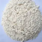 Graphic Customization Onion Powder Dehydrated Granules Slices
