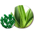 GMP Factory Supply natural slimming capsule Aloe vera extract beauty skin health soft capsule OEM