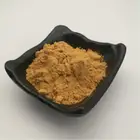 Hot Sale Soy Extract Powder 10%-90% soybean Isoflavones For Health Products