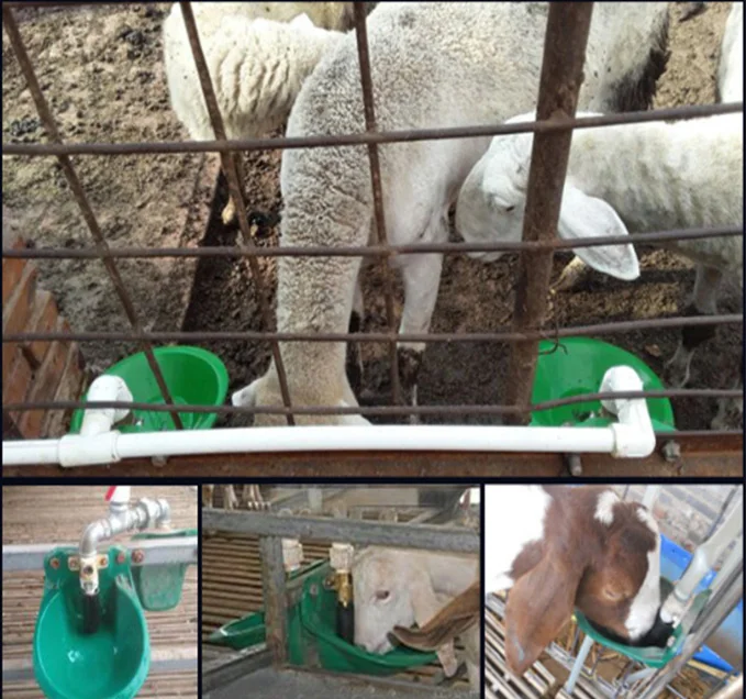 铜阀山羊水碗自动水羊饮水碗
