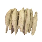 Frozen Cooked Whole Sarda Red Tuna Loin