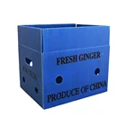 Plastic Corflute Fruit Box Pp Corrugated Vegetable