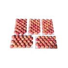 2020 new fresh fruits fresh delicious red fuji apples