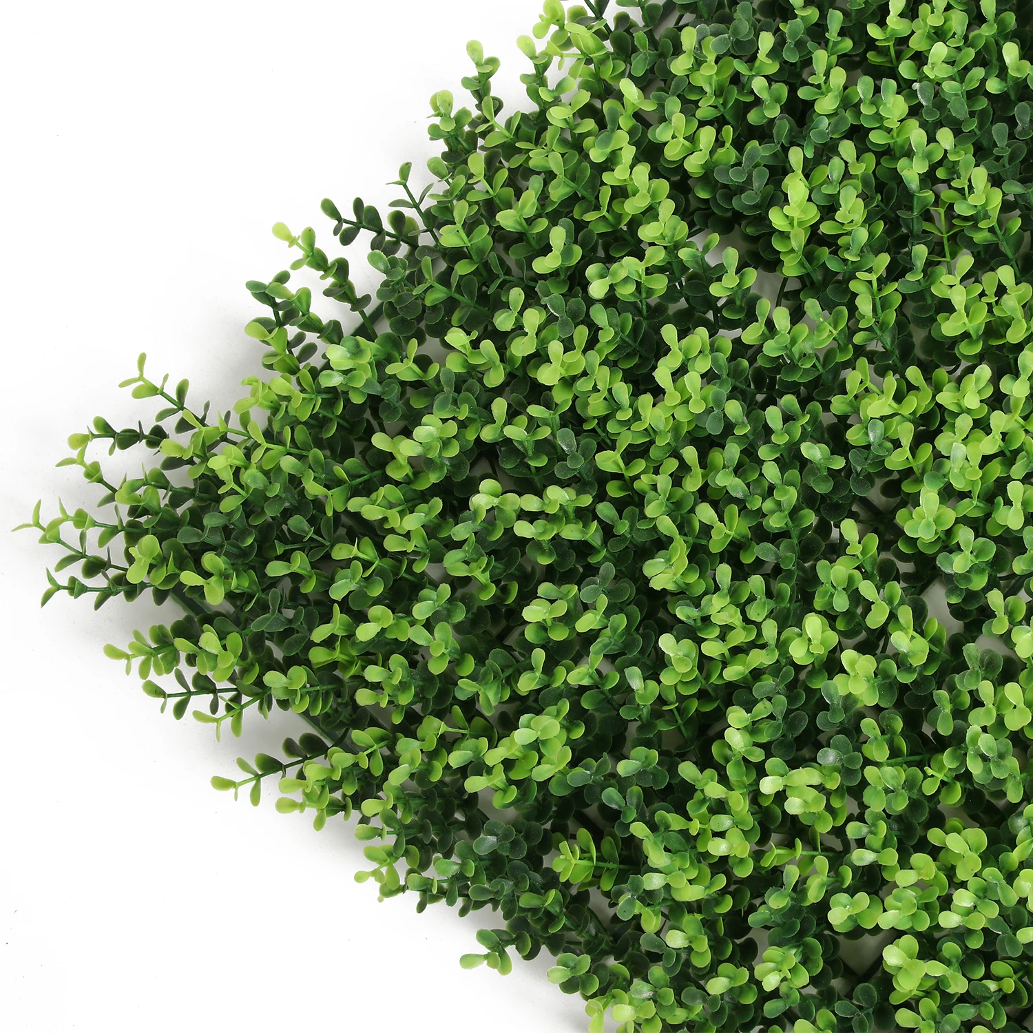 Vertical Green Plug and Plant