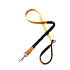 2020 New Arrival Custom Logo Collar And Fashion Nylon Dog Leash, Factory Sale Cheap Custom Color Dog Leash