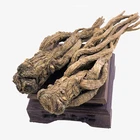 Hot Selling Dang Gui Root /Dong Quai Root Extract/Angelica Sinensis