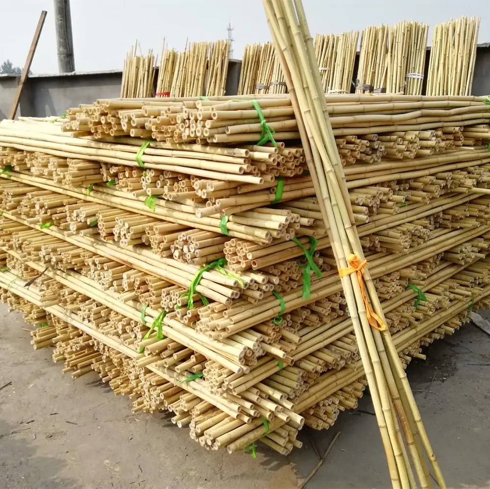 Poteaux de bambou Pour D'échafaudage Pour La Construction
