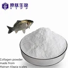 protein manufacturer water soluble halal fish irganic collagen peptide powder for healthy supplement