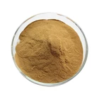 Papaya leaf extract powder Carica papaya extract