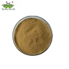 Factory Supply Silymarin powder Milk Thistle Extract