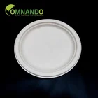 Disposable bagasse dishes compostable biodegradable bagasse plates
