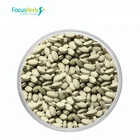 Moringa Oleifera Moringa Powder 100% Natural Moringa Oleifera Powder