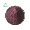 /product-detail/acai-berry-freeze-dried-powder-anthocyanosides-acai-extract-make-dietary-supplements-and-cosmetics-60674308813.html