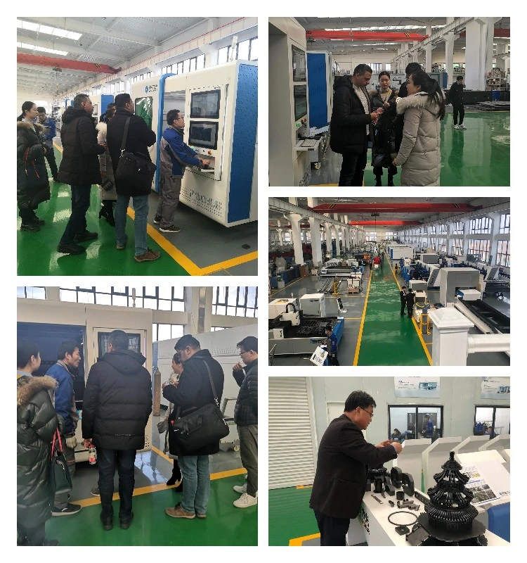 fiber laser visit(7)