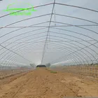 plastic agricultural tunnel greenhouse garden greenhouse vegetable flower farming