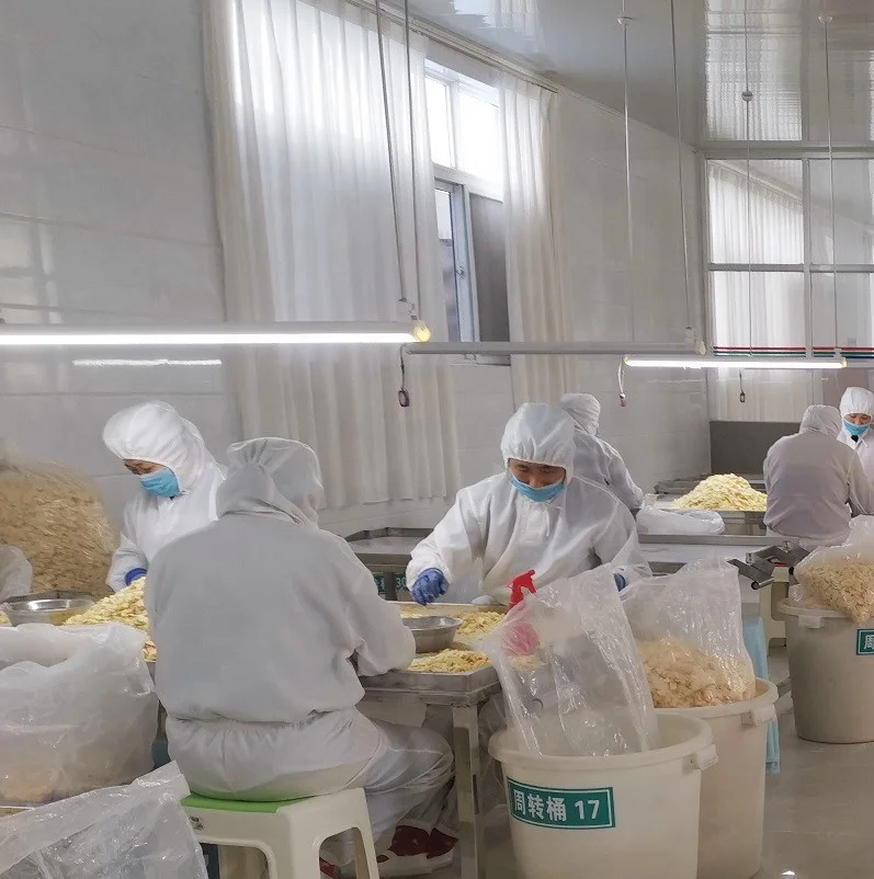 Hot Sale China Factory Supply Bulk Henan Dried Garlic Granules