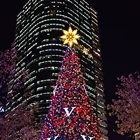 Hot selling christmas tree top star for decoration