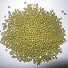 Wholesale green mung beans sprouting