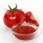 China Factory Good Quality Bulk Can Sizes Tomato Paste Manufacture