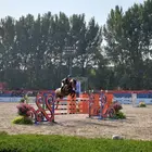 Portable Horse Jumping Obstacle For Jumping Show