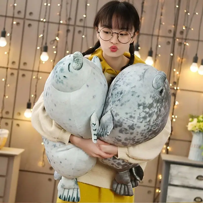 haibao2.jpg