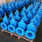 double orifice air valve with integrated isolating hydraulic valve